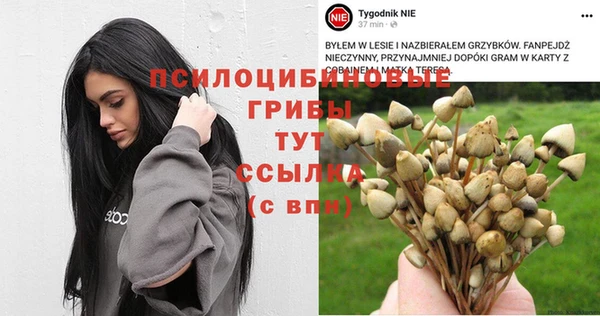 ПСИЛОЦИБИНОВЫЕ ГРИБЫ Надым